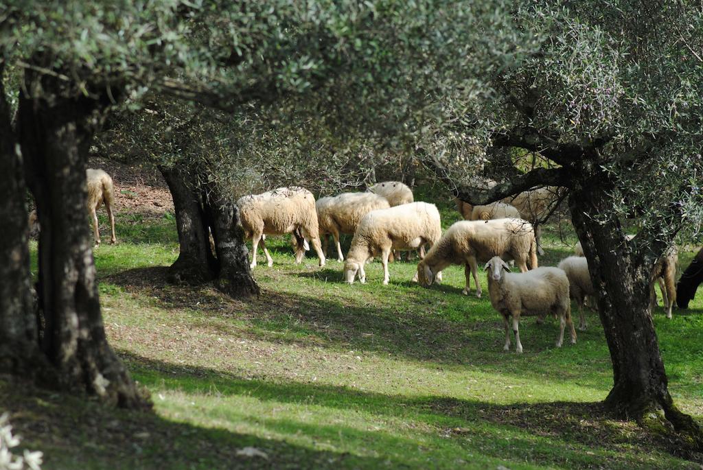 Country House Villa Poggiolo Perugia Exterior photo